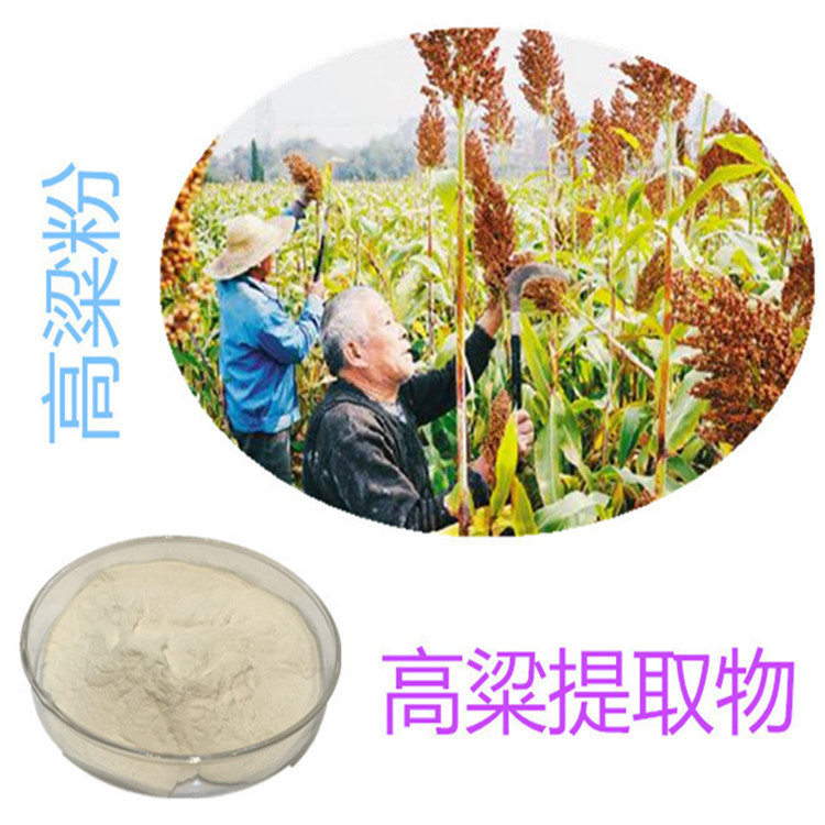 斯諾特生物 深耕植物提取物研發，以高粱提取物為核心打造健康產品矩陣